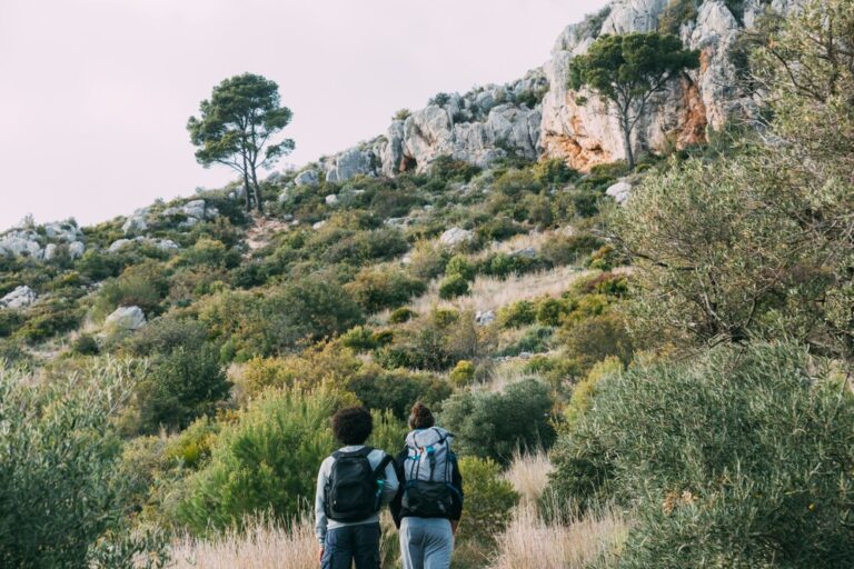 Passeggiata nella natura