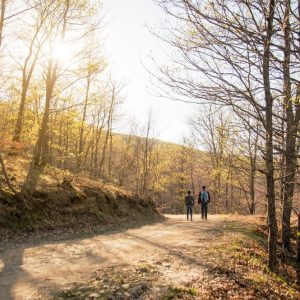 passeggiata 1